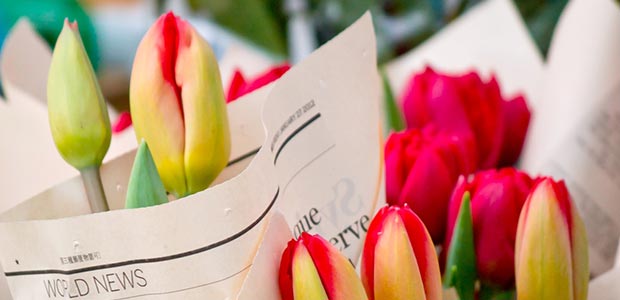 お店情報のイメージ写真