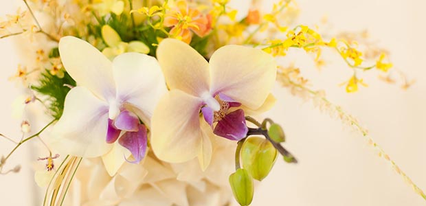 ギャラリーのイメージ写真